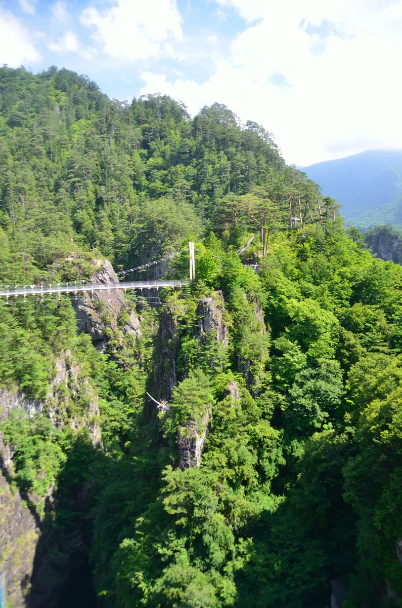 投稿写真：瀬戸合峡谷のつり橋