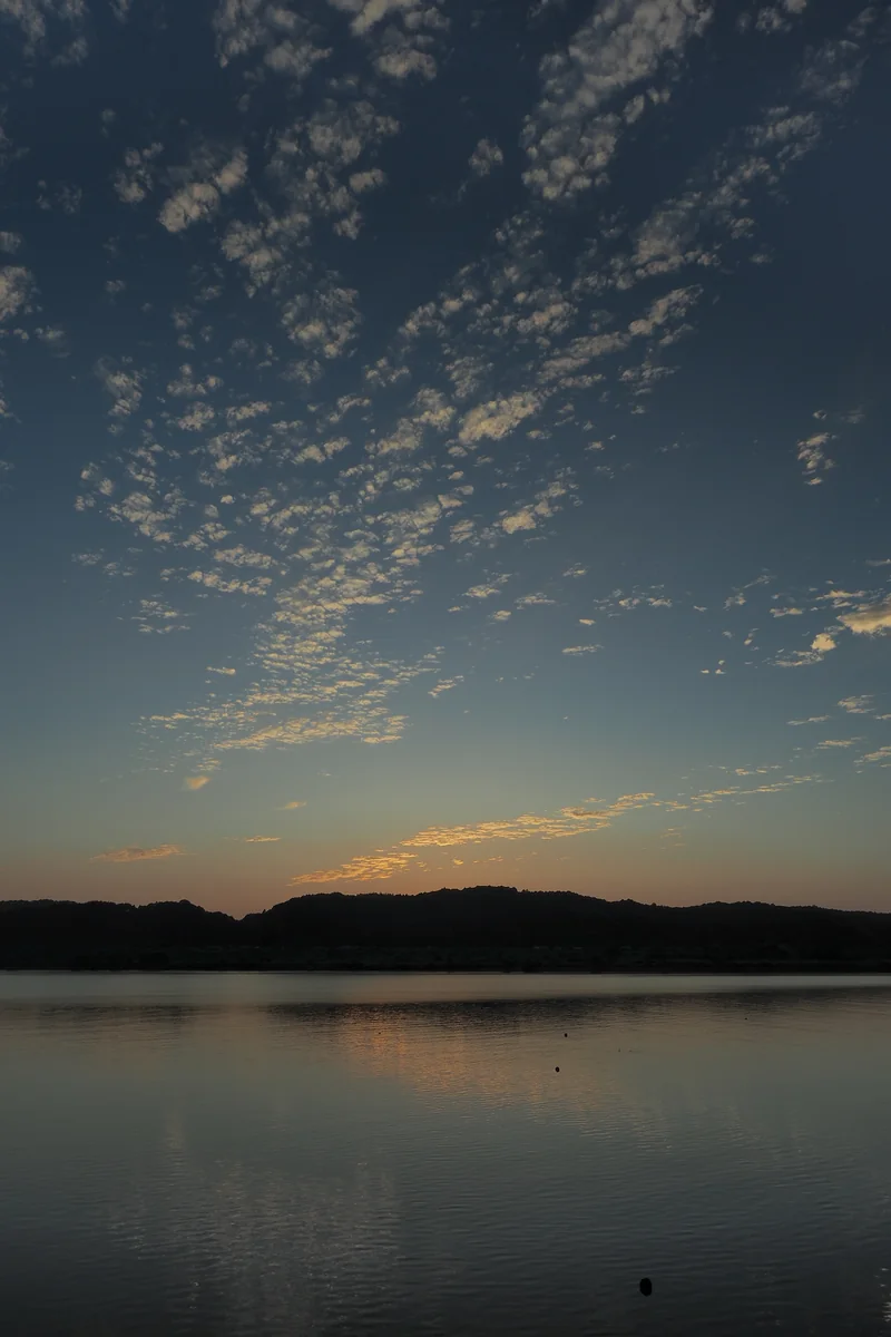 投稿写真：四万十川　朝焼け