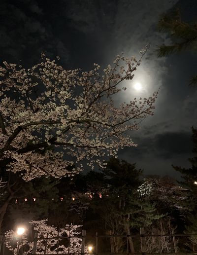  | 絶景事典