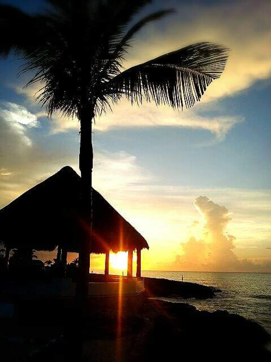 投稿写真：カリブのASAYAKE