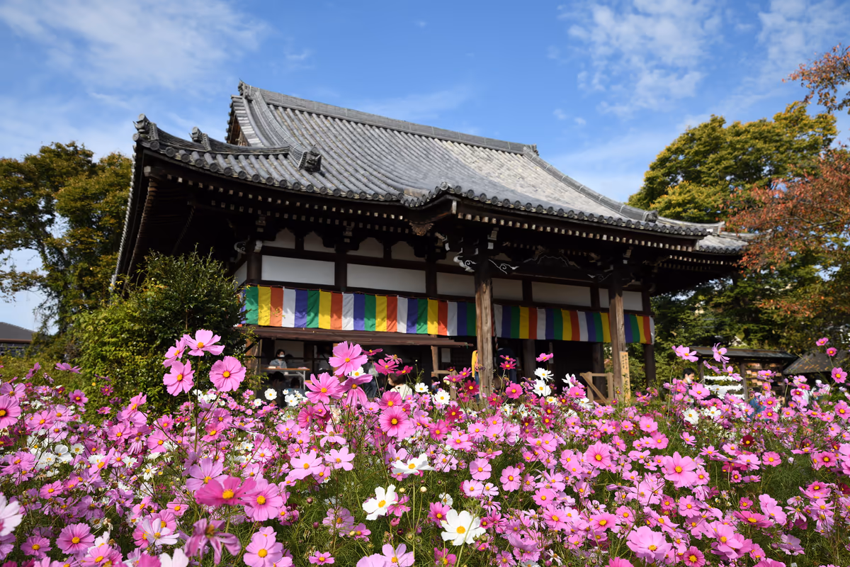 投稿写真：般若寺