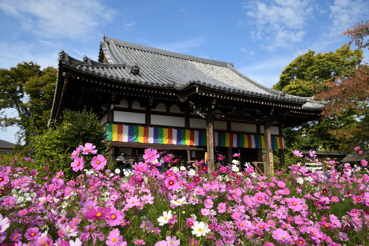 投稿写真：般若寺