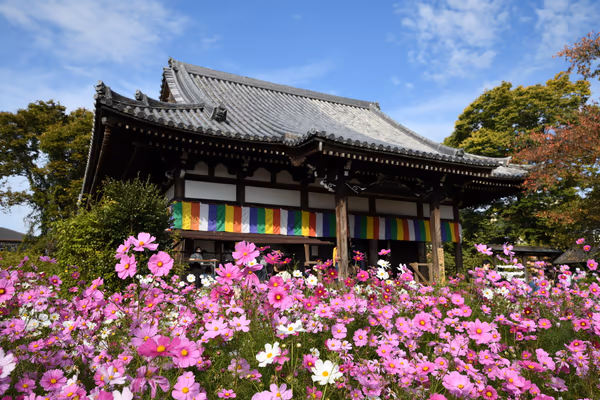 投稿：般若寺