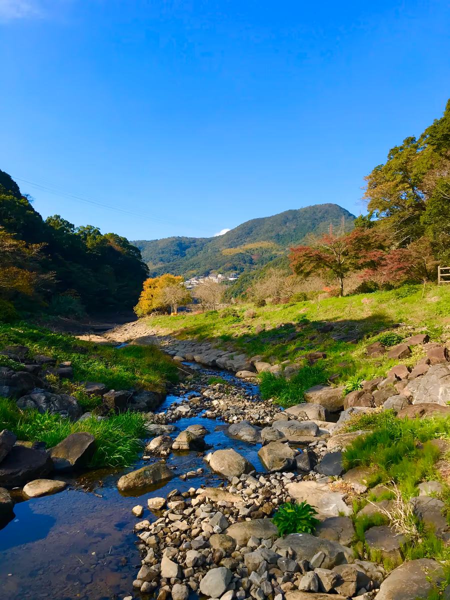 投稿写真：手付かずの自然