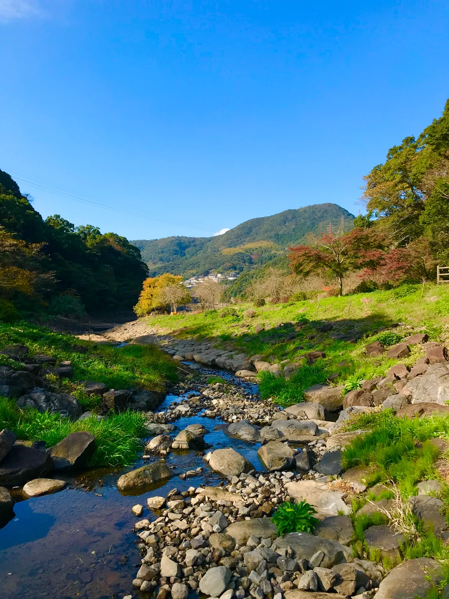 投稿写真：手付かずの自然