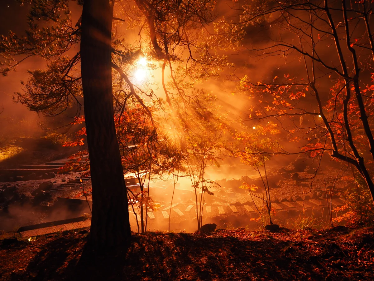 投稿写真：雨の西の河原公園