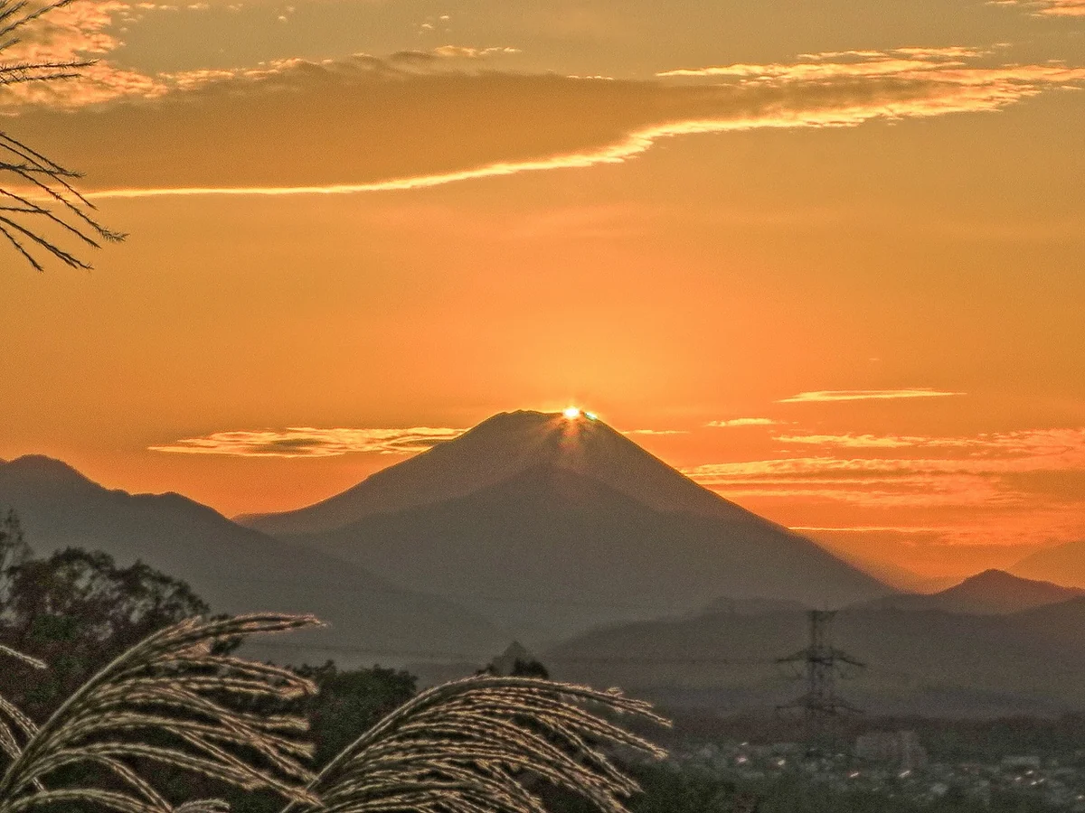 投稿写真：ススキとキャッツアイダイヤモンド富士
