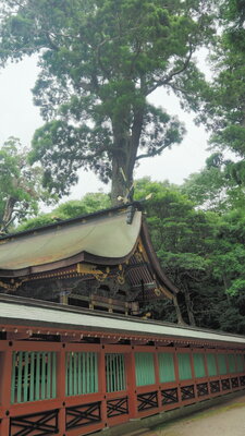  | 絶景事典
