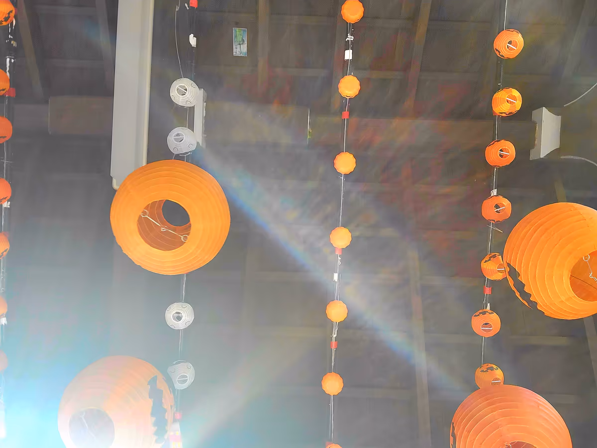 投稿写真：橘神社　花手水の天井