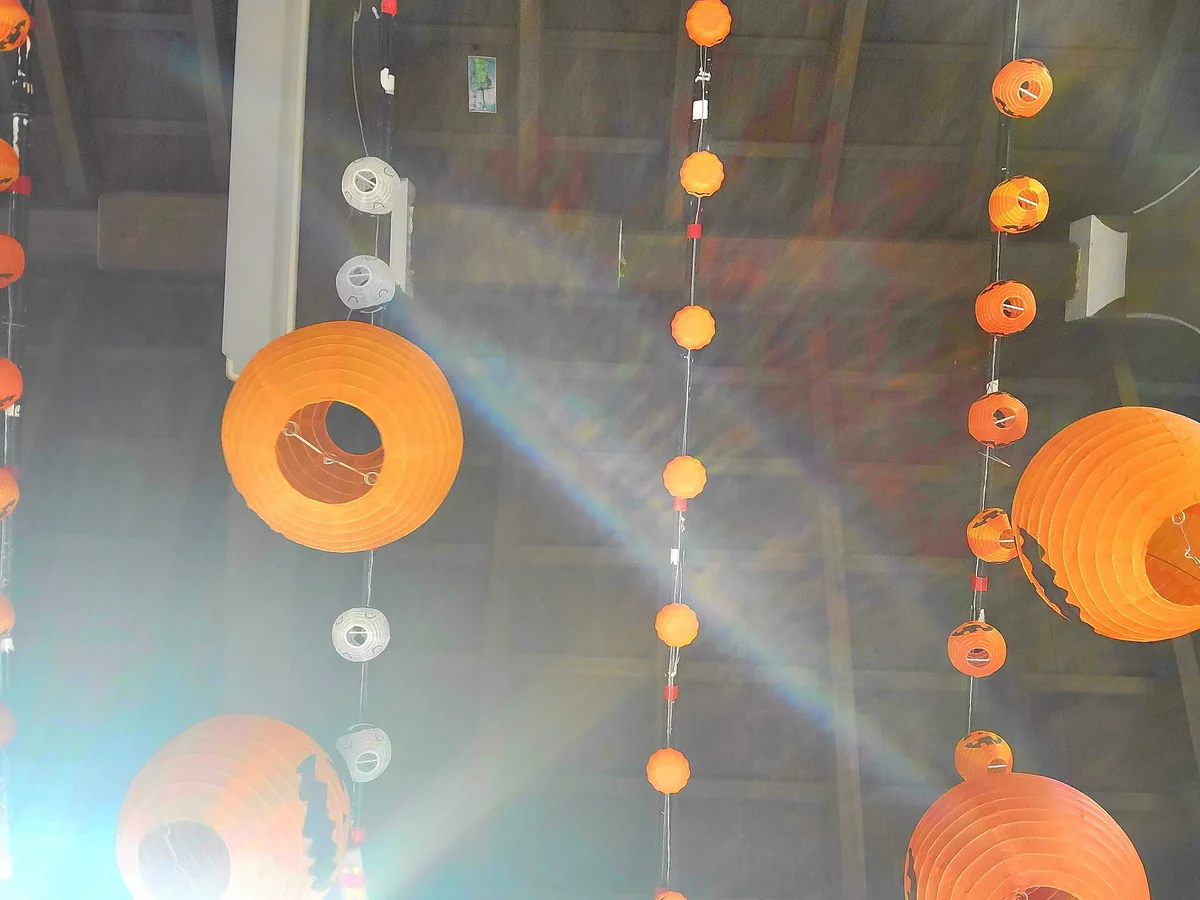 投稿写真：橘神社　花手水の天井