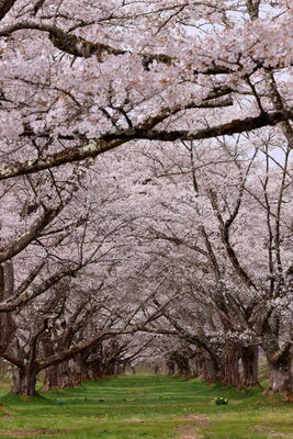  | 絶景事典