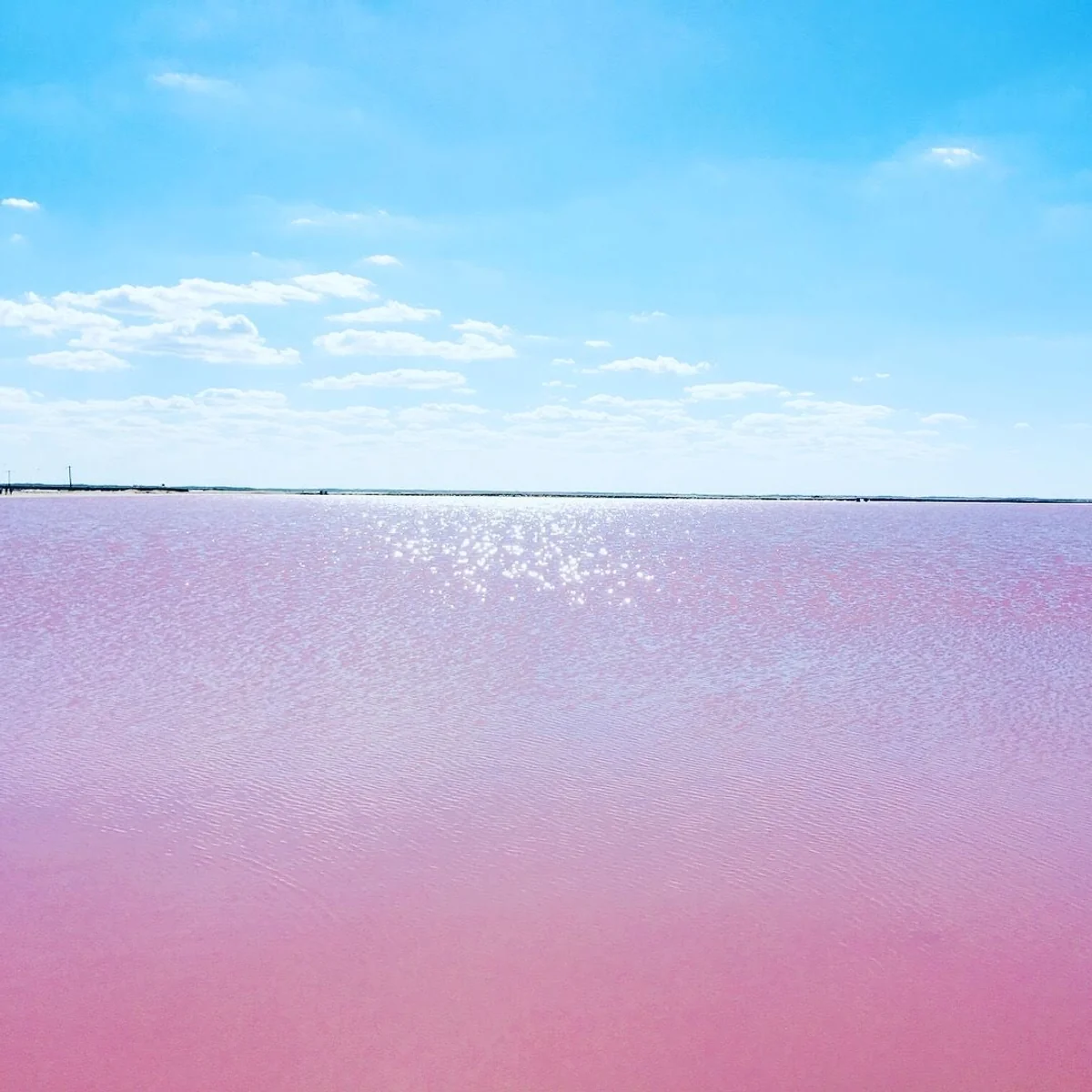 投稿写真：ピンクレイク