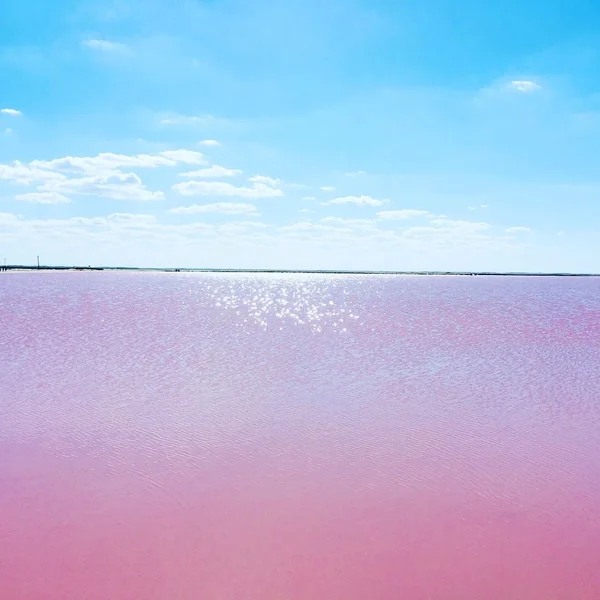 投稿：ピンクレイク