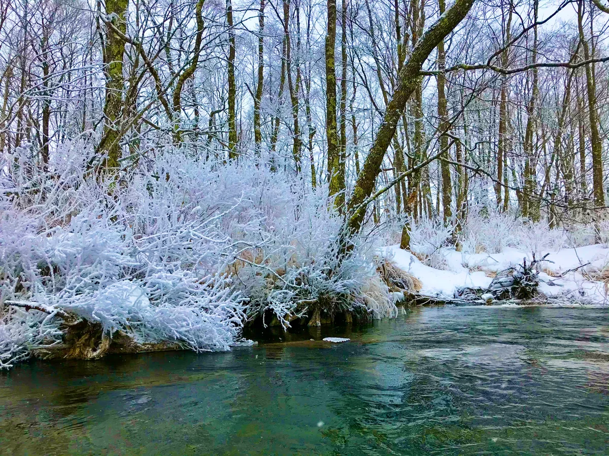 投稿写真：釧路川源流川下り