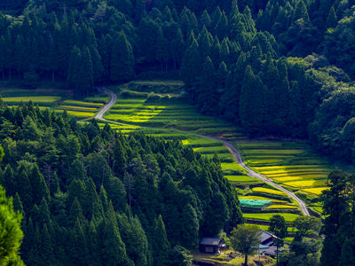  | 絶景事典