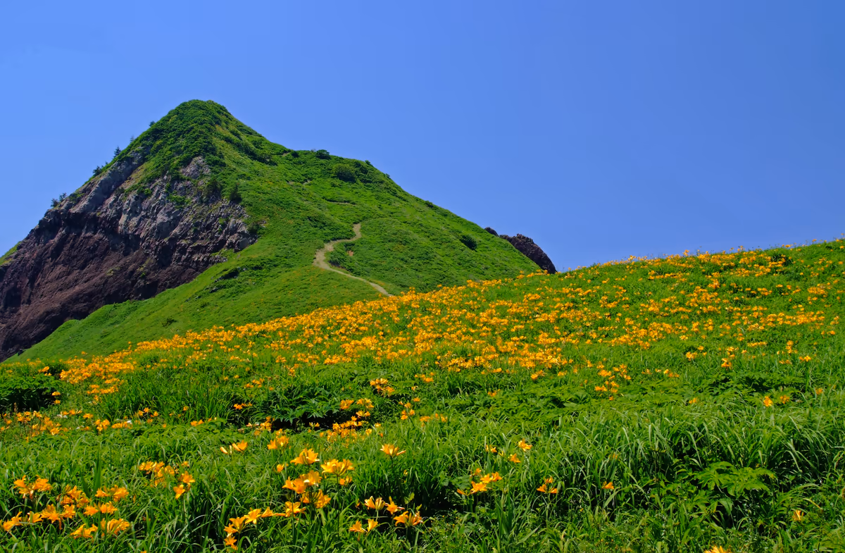投稿写真：絶景、大野亀！