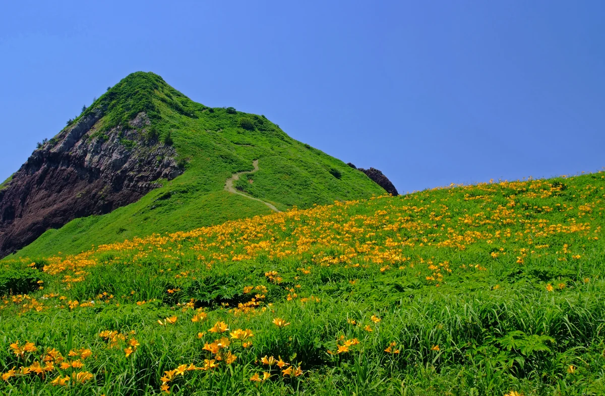 投稿写真：絶景、大野亀！