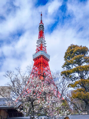  | 絶景事典