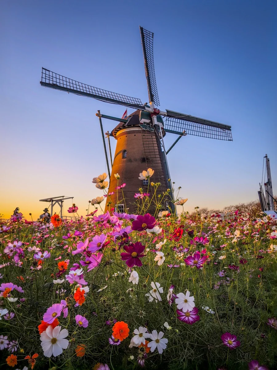 伊藤 和平さんの投稿写真