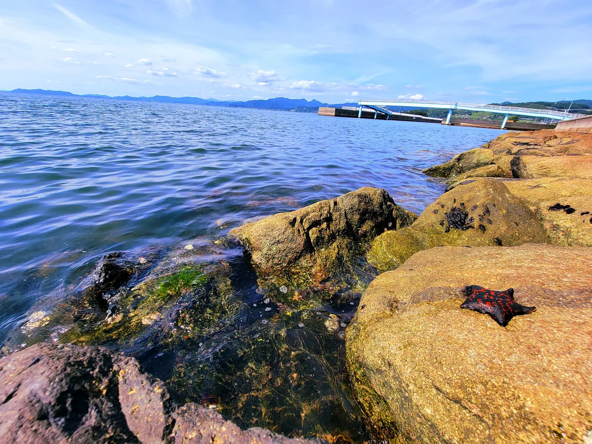 投稿写真：ひとでとさんばし