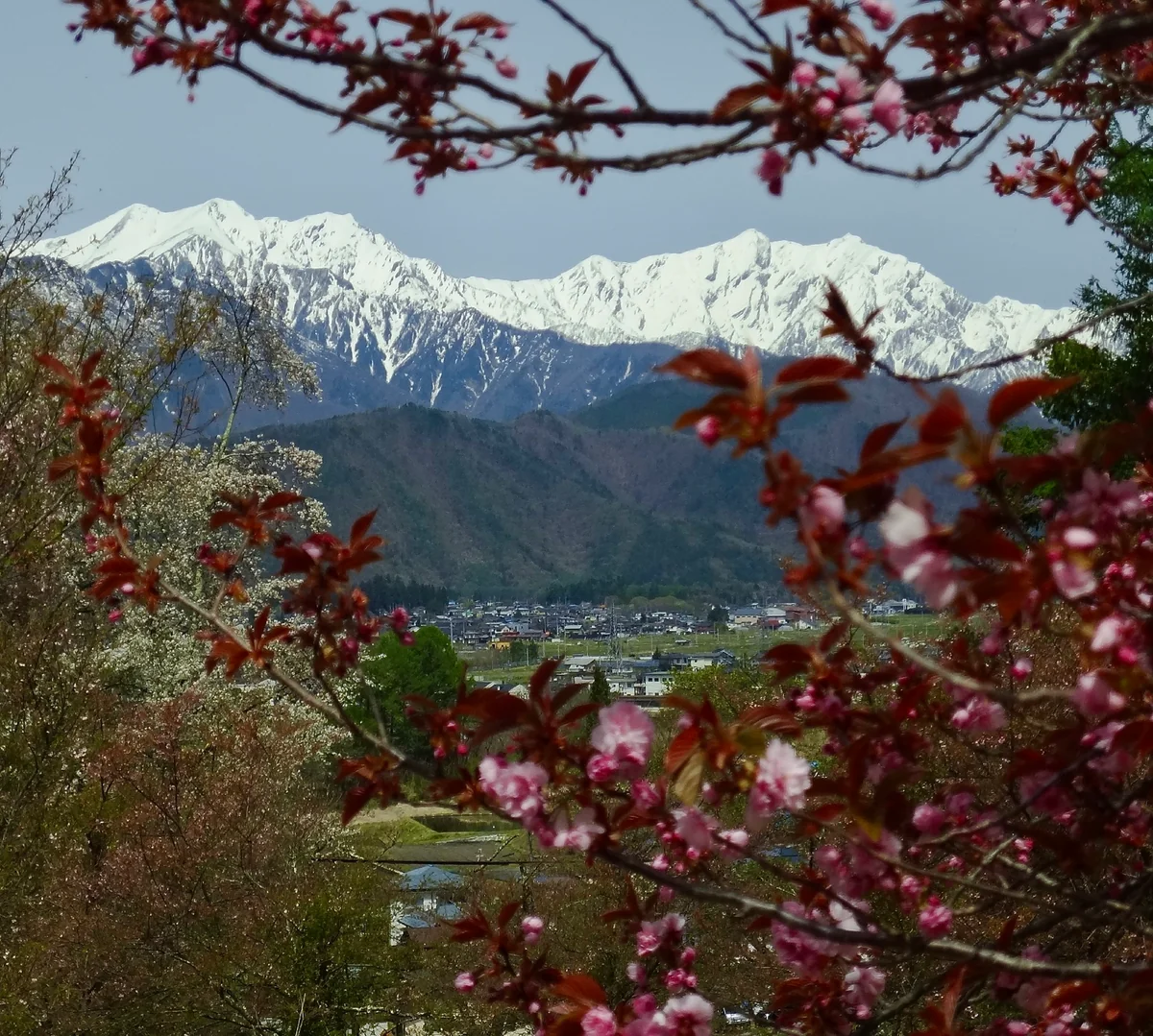 投稿写真：初夏の爺ヶ岳と鹿島槍ヶ岳