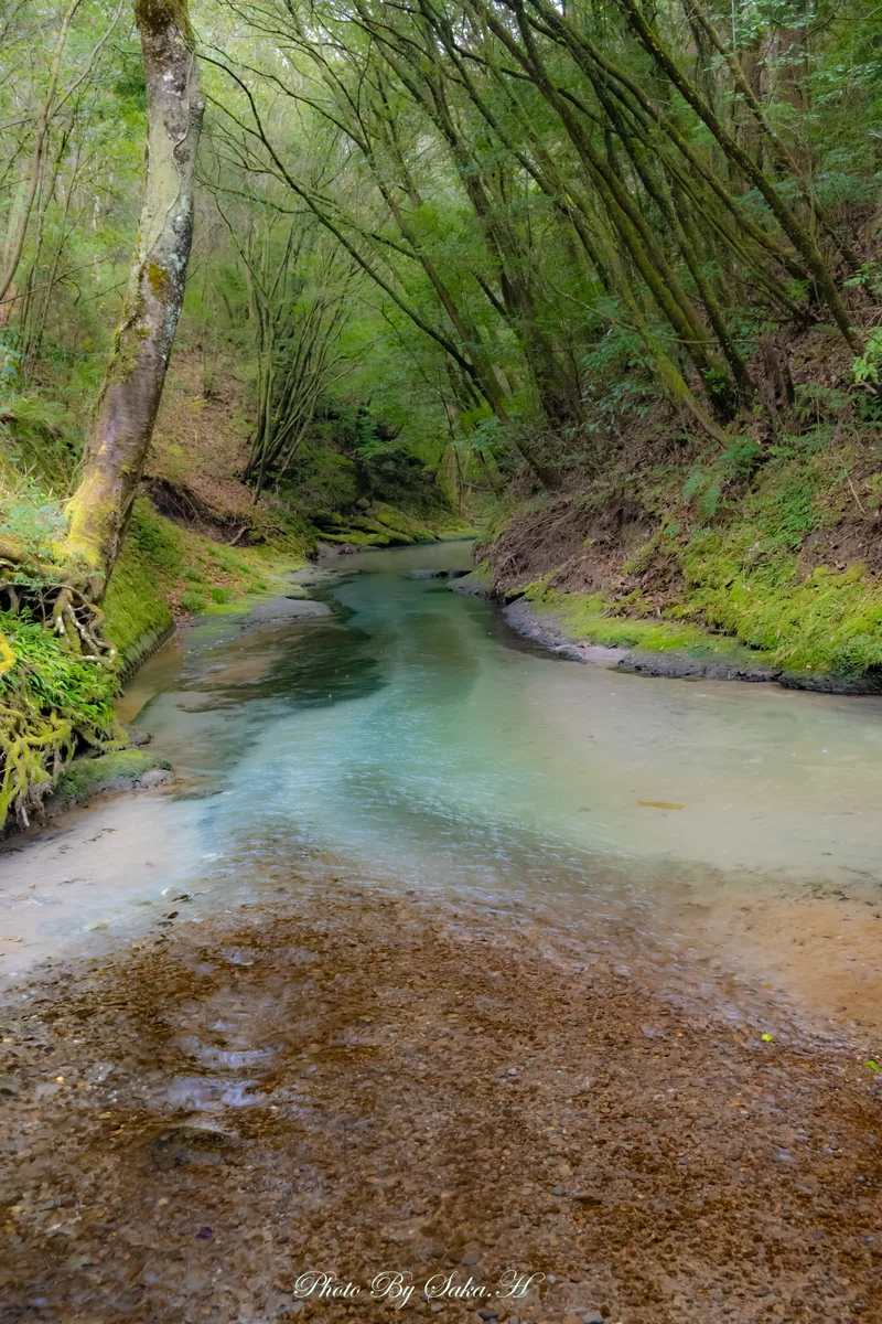 投稿写真：清流