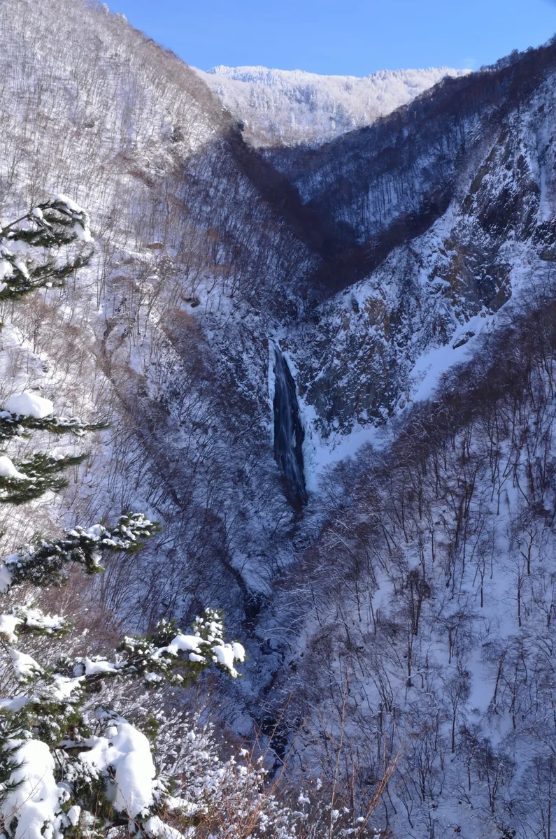 投稿写真：冬の晴間の瀑布