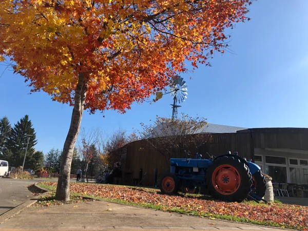 投稿：北海道の秋