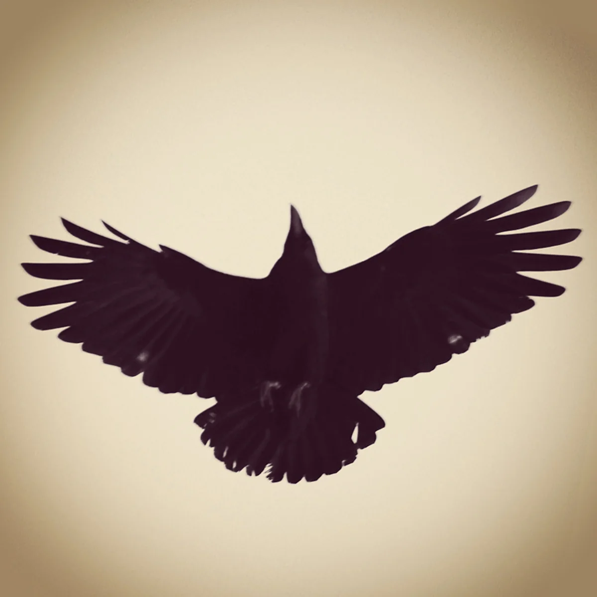 投稿写真：毘沙門堂