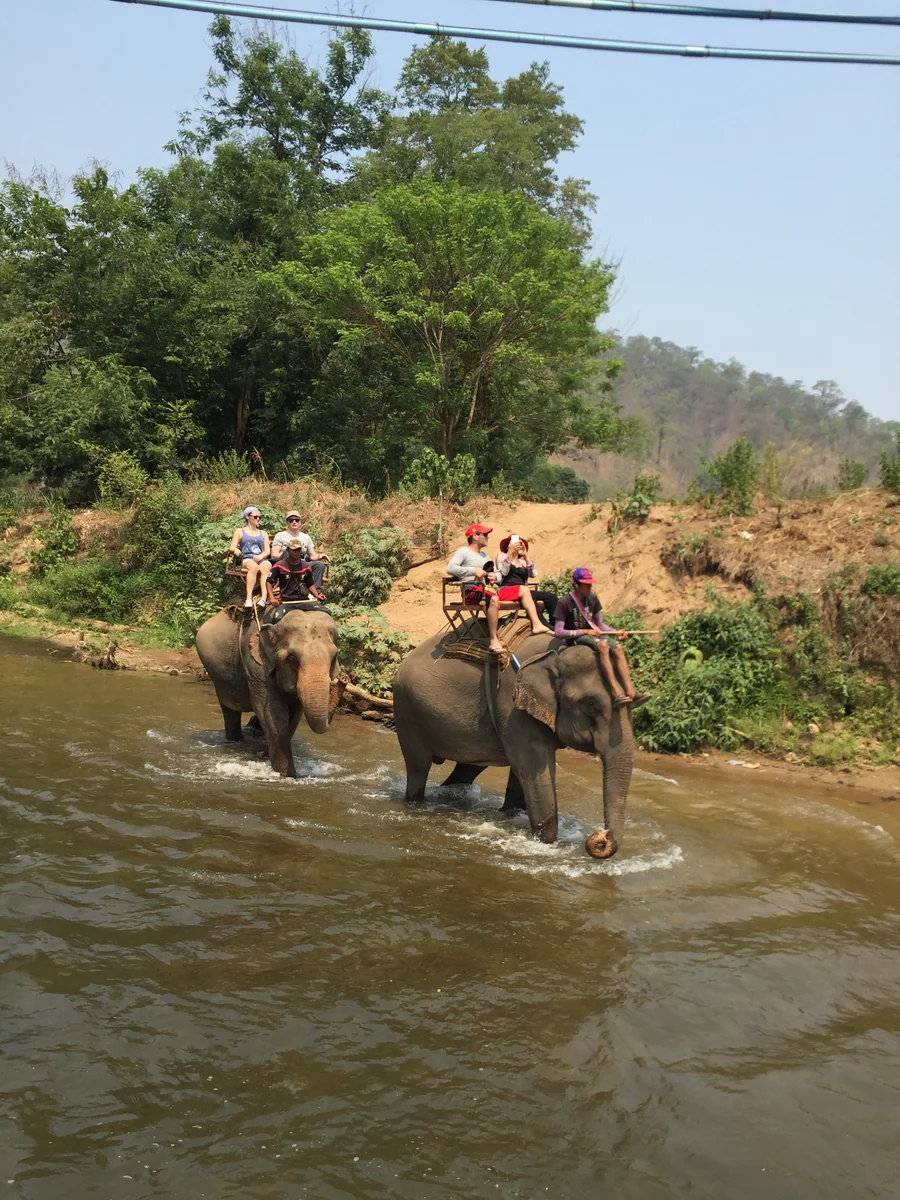 投稿写真：像さんに乗って川下り