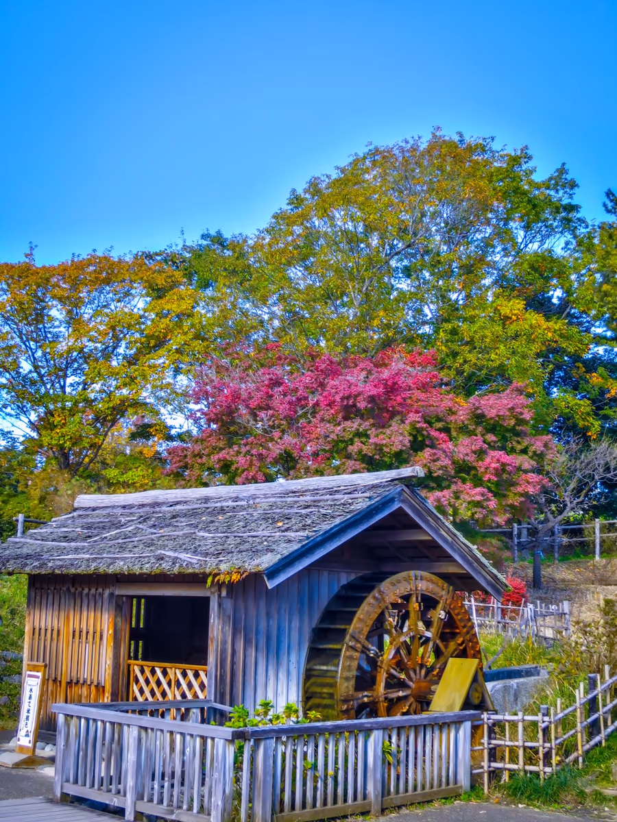 投稿写真：水車小屋と紅葉