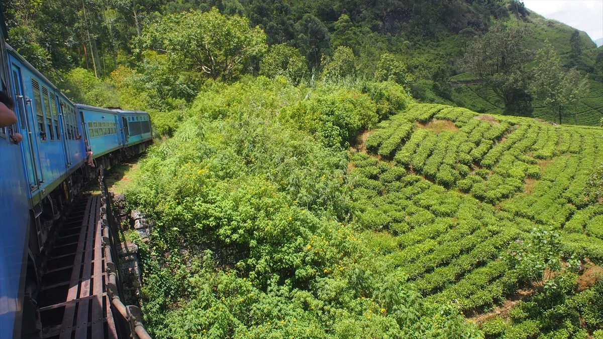 投稿写真：絶景列車