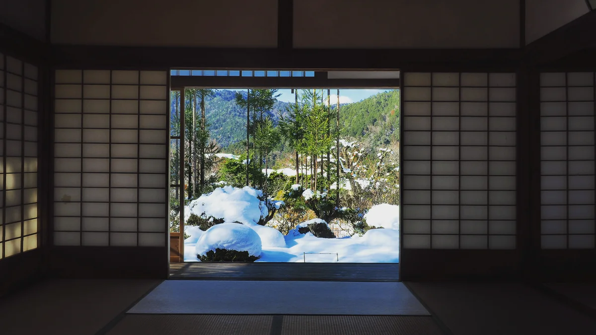 投稿写真：雪の庭