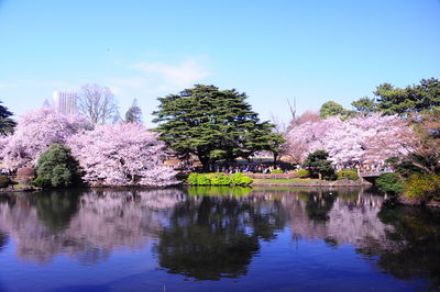  | 絶景事典