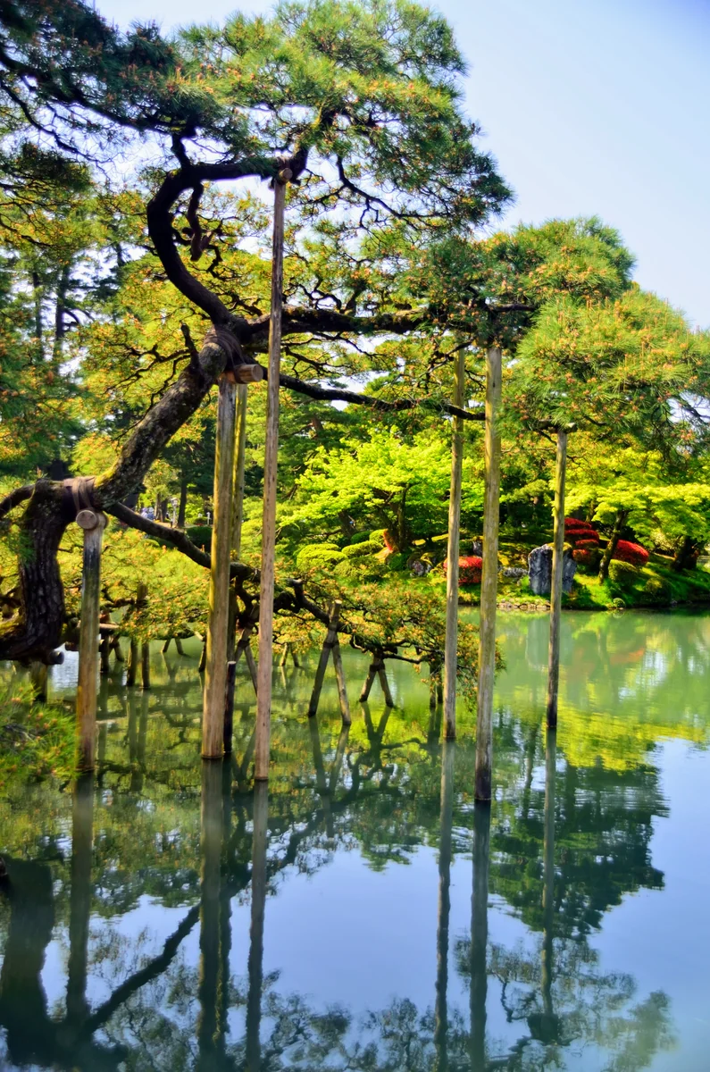 投稿写真：金沢兼六園