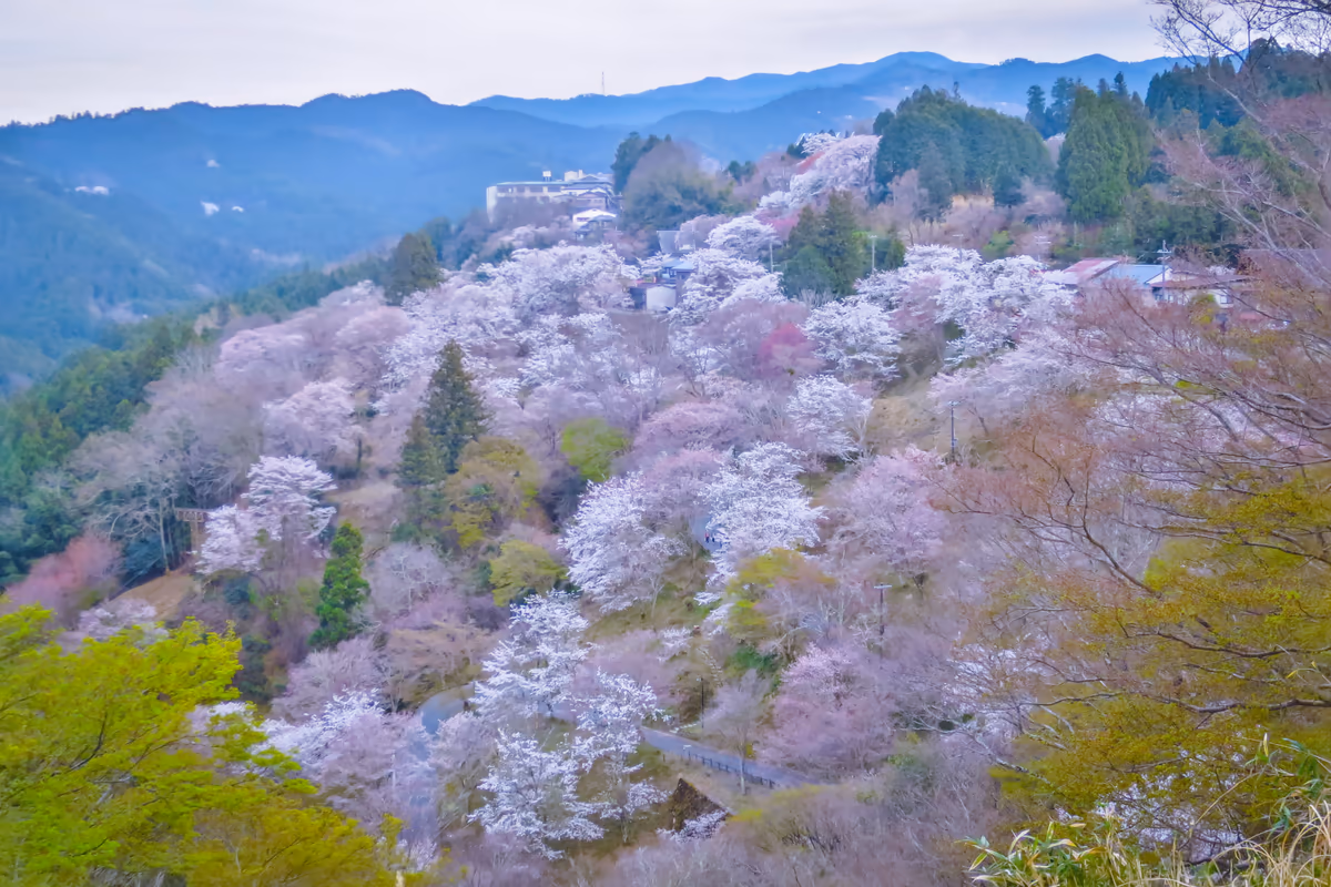 伊藤 和平さんの投稿写真