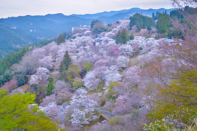  | 絶景事典