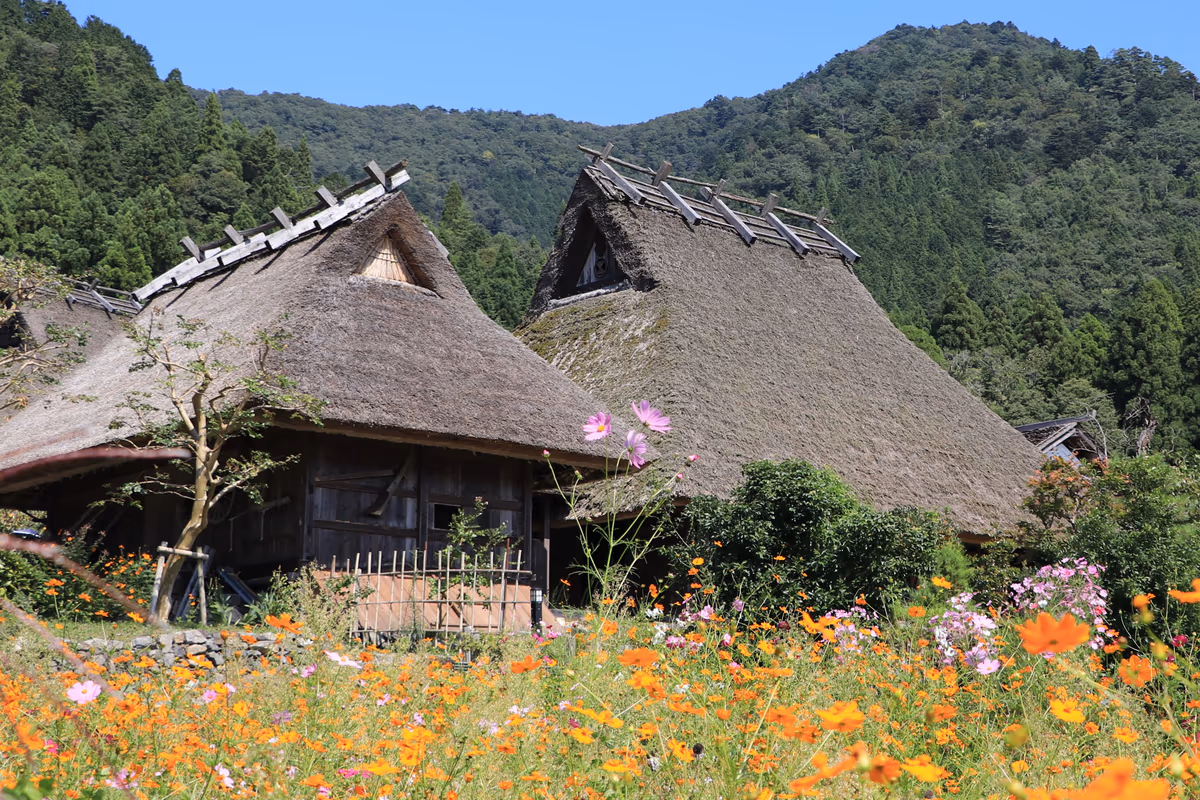 投稿写真：美山の秋
