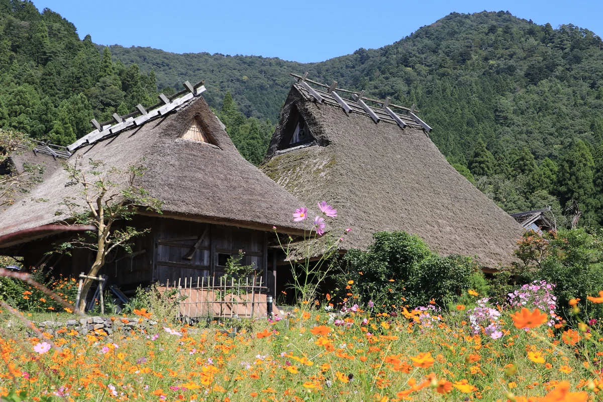 投稿写真：美山の秋