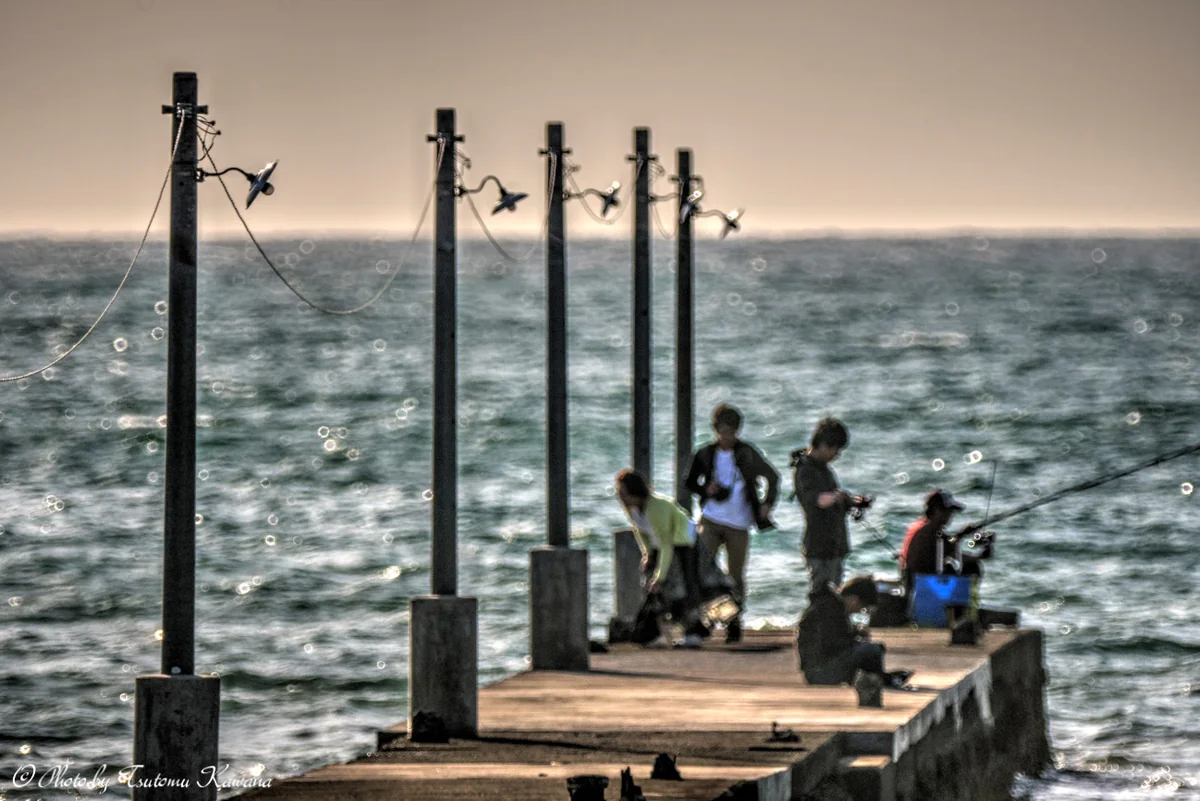 投稿写真：桟橋の午后♪