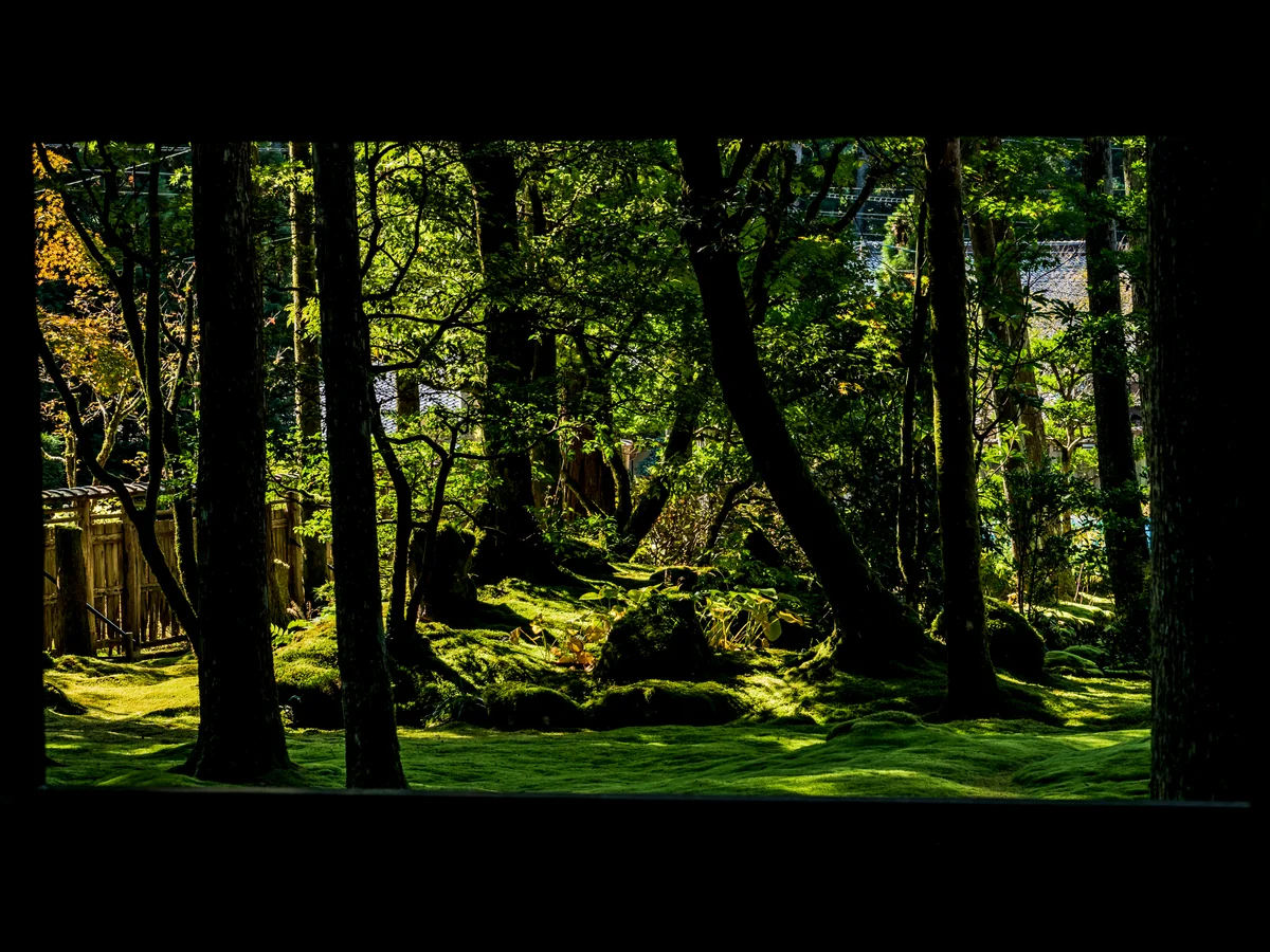 投稿写真：庭園の絵画