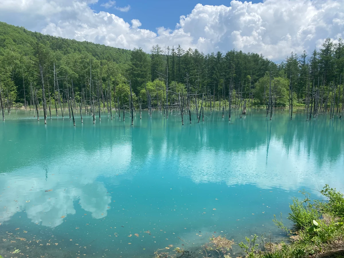 投稿写真：青い池