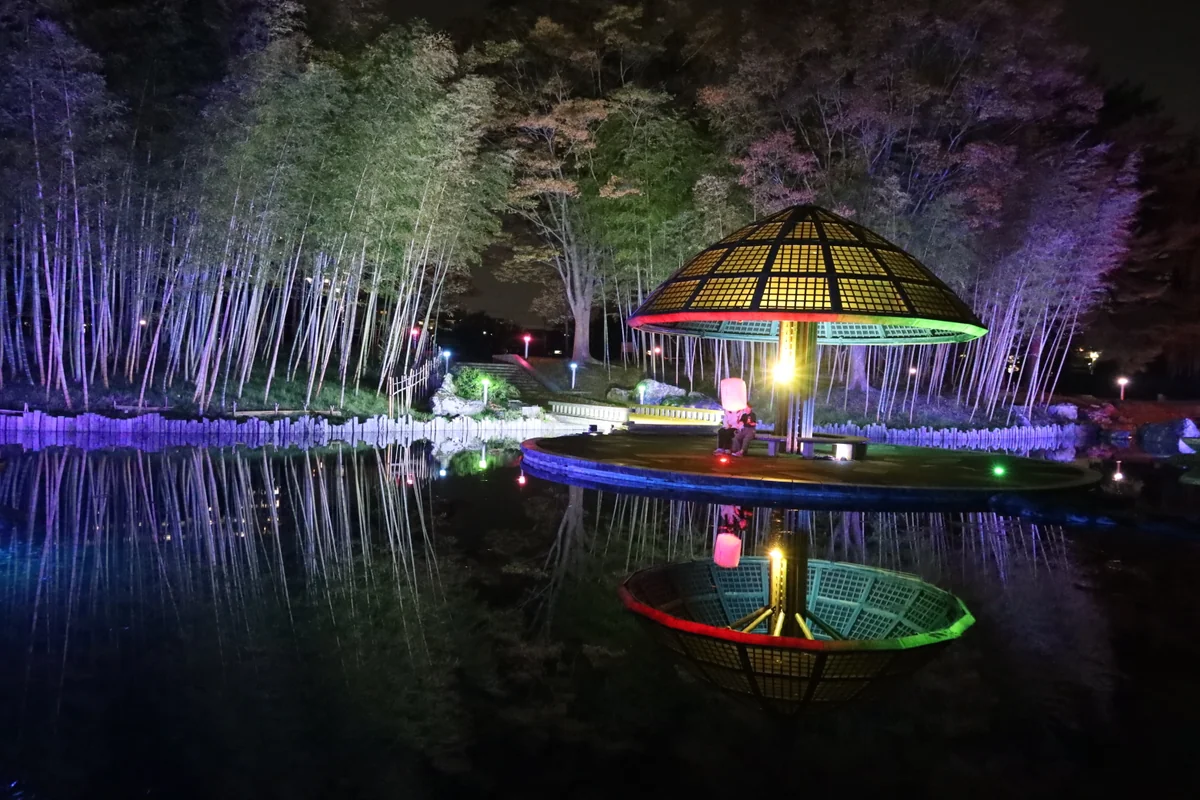 投稿写真：光るキノコ（izumination nanakitapar）