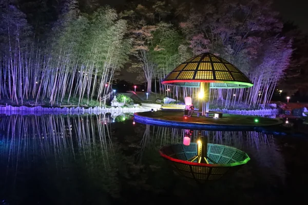 投稿：光るキノコ（izumination nanakitapar）