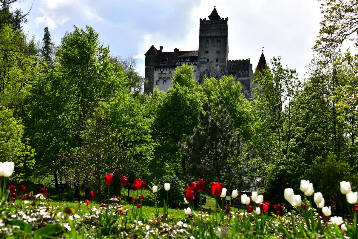 投稿写真：ブラン城