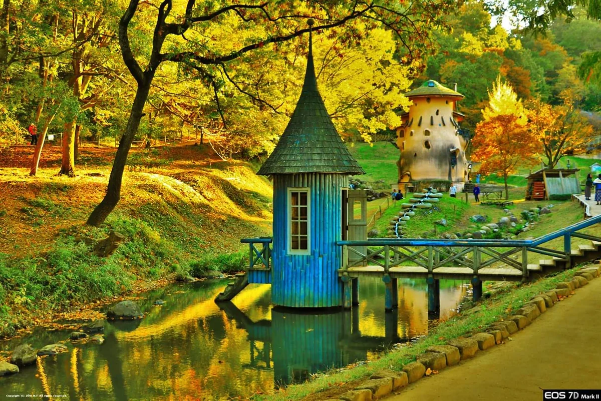 投稿写真：ここ埼玉県です。