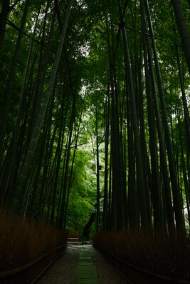  | 絶景事典