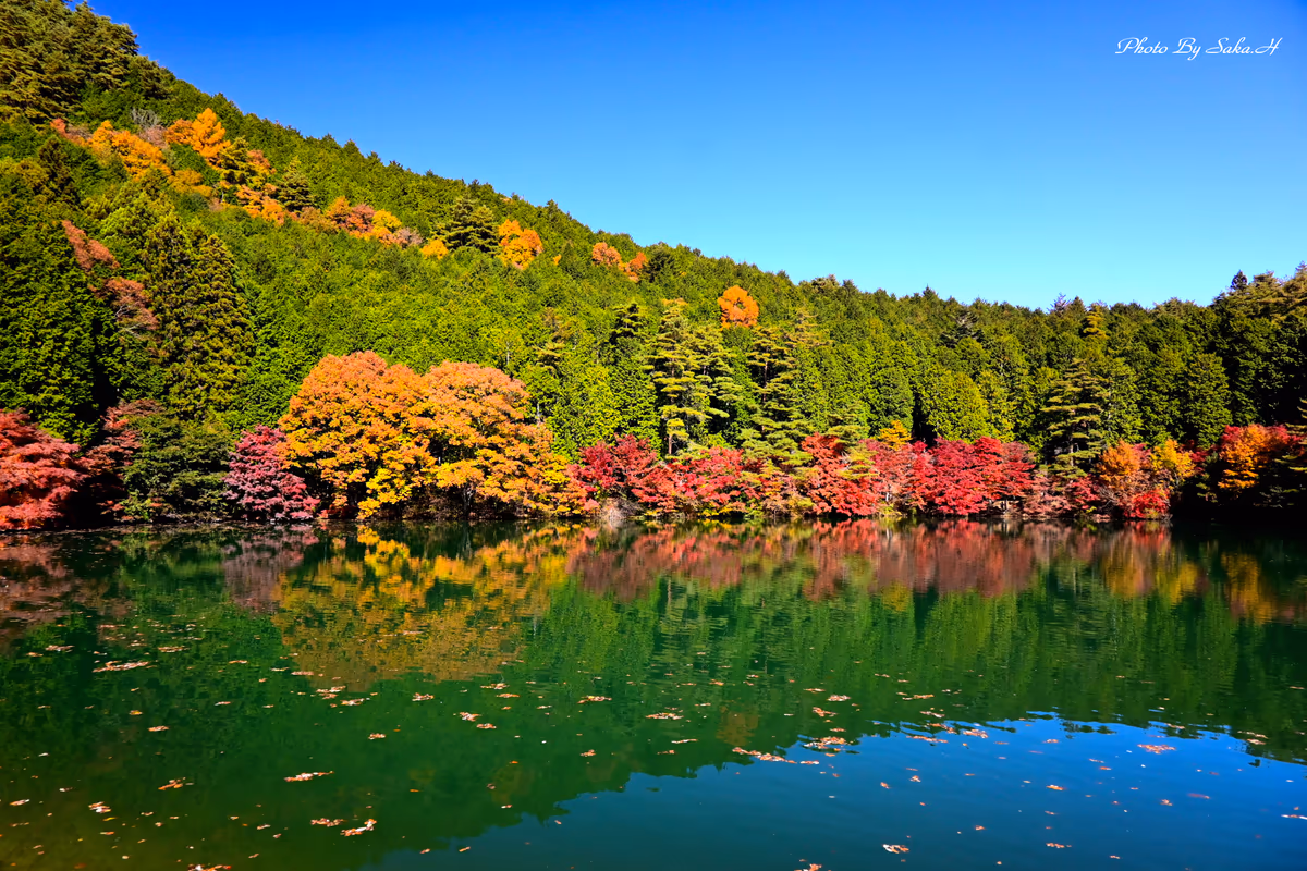 投稿写真：南伊奈湖