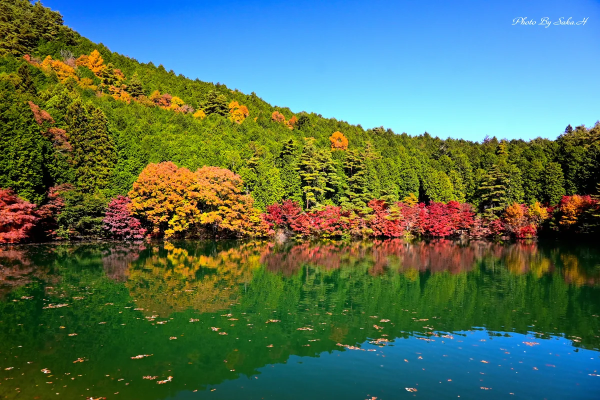 投稿写真：南伊奈湖