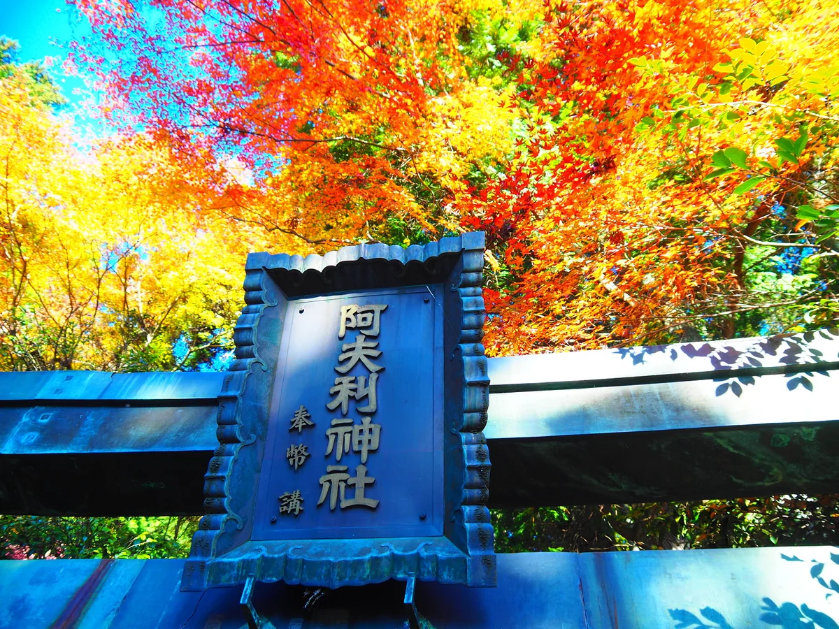 投稿写真：阿夫利神社